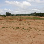 Talent City Phase - 1 Plots