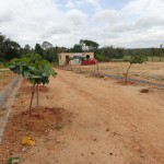Talent City Phase - 1 Road Construction