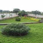 Karle Habitat Garden view