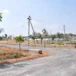 Karle Habitat Roadside view