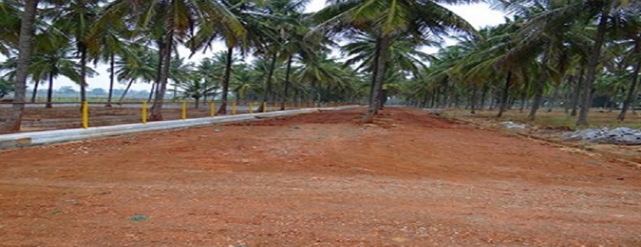 Manasa Nanjangud Featured Image