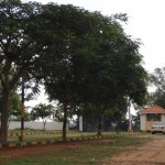 Nadig Nagara Township Entrance