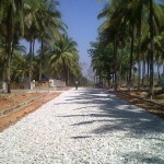Samatha Woods Project Site