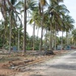 Samatha Woods Project Site
