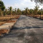 MV Paradise Road View