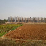 Health City Site View