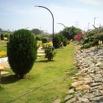 MMG Asset Habitat Garden