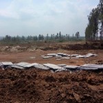 San City Blue Bell Constuction Update