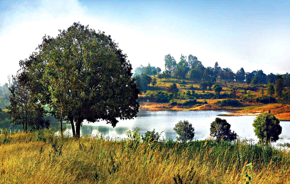 Best Top 10 Plots Mysore